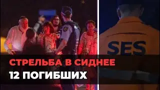 12 ПОГИБШИХ В СИДНЕЕ: Как теракт был остановлен? Подробности операции и задержания нападавших