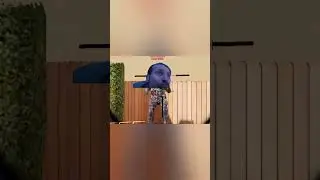 afk.exe cod mobile | meme exe #shorts #cod #warzonemobile #warzone #memes #funny