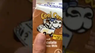 I exploded carton of milk on Mini Meow #cat #funnycats ￼
