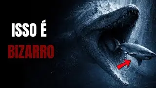 Essa Criatura Pré-Histórica Assusta Até Mesmo o Megalodon – Você Não Vai Acreditar!