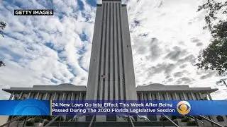 New Florida Laws On License Plates, Veterans, Shark Fins Hitting The Books This Week