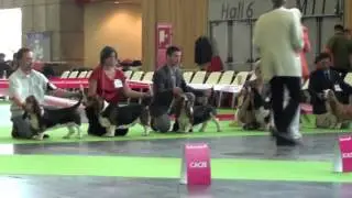 World Dog Show Paris 2011