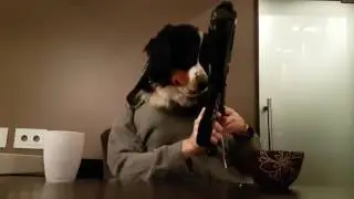 Laserdog
