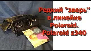 Редкий 