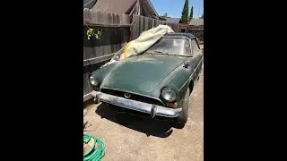 Sunbeam Tiger Project