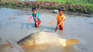 ✅ Best Hand Fishing Video 2022 | Traditional Expert Boy Hunting Big Fish By Hand in Mud Water