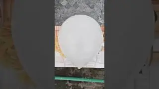 Water Balloon from Rooftop Amazing  Experiment 😱💥 White Plain Baloon #asmr #shortvideo #trending