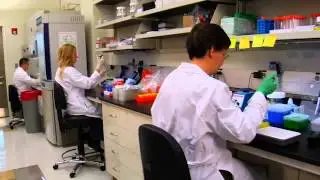 Behind the Scenes: Virtual Microscopy at our Research Institute