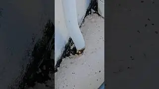 Ground to entire condo is compromised due to rusted conduit.