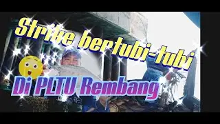 Spot PLTU Rembang memang exstrim
