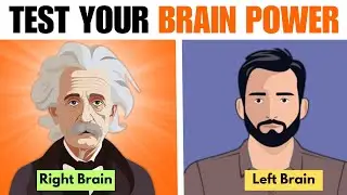 Test Your Brain Power - What is Your Brain Type (Quick Personality Test)