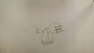 2D Flapping Bird Traditional Animation