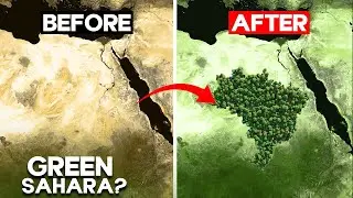 How Scientists Are Making SAHARA Green Again Using A GENIUS Idea