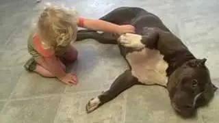 American Iron Kennels - Angel and Aaron