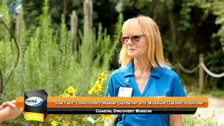 843TV | Sue Fehr: Fall Native Plant Sale October 4, 2025 | Coastal Discovery Museum | WHHITV