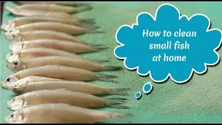 how to clean small fish at home | mourola fish cleaning at home | how to clean fish at home