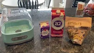 L. Reuteri Yogurt Without Half & Half + TEMPERATURE TEST +