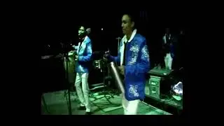 Grupo espacial La vaca loca 