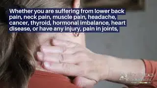 Welcome to Back to Health Chiropractic