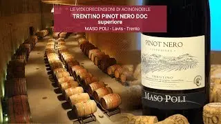 🍇MASO POLI | PINOT NERO SUPERIORE DOC | TRENTINO