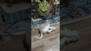 вымещает свою злость на бумаге