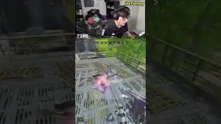 what high sens can do for you in Apex