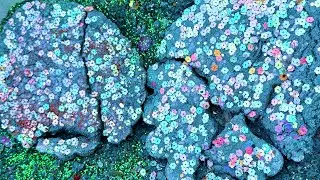 Color me Green! Floral green haven gym chalk asmr crush #gymchalkcrushing #sleepaid #gymchalk #relax