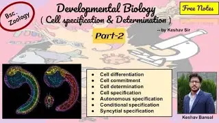 Autonomous , Conditional & Syncytial Specification || Bsc || Free PDF notes || by VEX