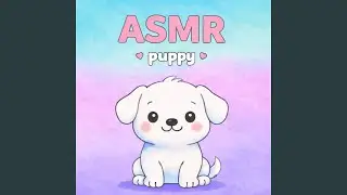 빗소리+강아지꿈나라(BGM) Rain Sounds + Puppy Dreamland (BGM)