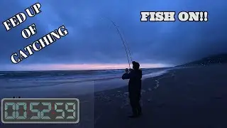 BASS INVASION | BASS A CAST IN WEST WALES | SEA FISHING UK | MASTERFISHERMAN
