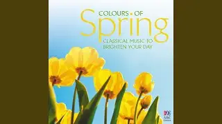 Concerto in D Major for Flute & Strings, Op. 10 No. 3, RV 428 