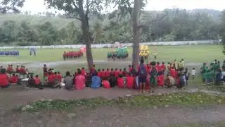 St Peter's Primary School,,, Carnival,,, four house colors matching