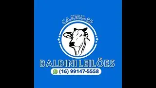 BALDINI LEILOES