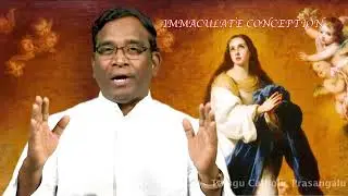 అమలోద్భవి మాత మహోత్సవం || Immaculate Conception of Blessed Virgin Mary || 8th December