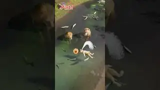sher ka beta nhate huy mar gya 🤣🤣#trending #newvideo