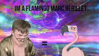 I'M A FLAMINGO - REACTION (MARC REBILLET)