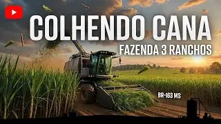 Farming Simulator 25 Mapa BR-163 MS Brasil  PC e Consoles