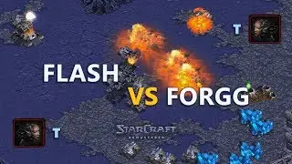 Starcraft Remastered Flash vs ForGG 🔥