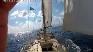 WESTERLY RENOWN NAVIGANDO CON AMICI