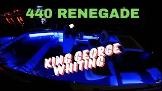 Quintrex Renegade 440 S.C. Ловля мерланга.