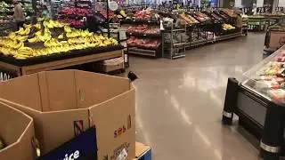 Bird in Walmart