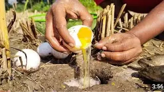 Unbelievable Fishing Technique । Best Underground Fishing With Eggs Catching