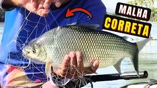 Foi só mudar o tamanho da REDINHA que o PEIXE veio