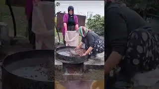 الطريقة القديمة لاستخراج و عصر زيت الزيتون