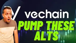 VET Pump and other Altcoins