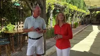 BAHC Bocce Bash