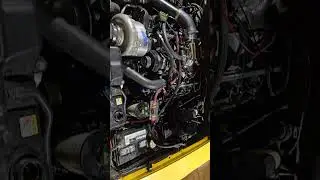 BLOWN, TRICKFLOW HEADED 2V MUSTANG FIRST START #americancar #automobile #hotrod