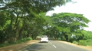 A scenic tree lined road on the way to Mamallapuram, India