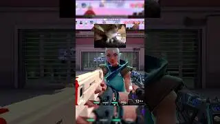 Ему пришлось запереться внутри после 💀