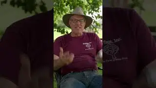 Что мне следует посадить на пастбище?